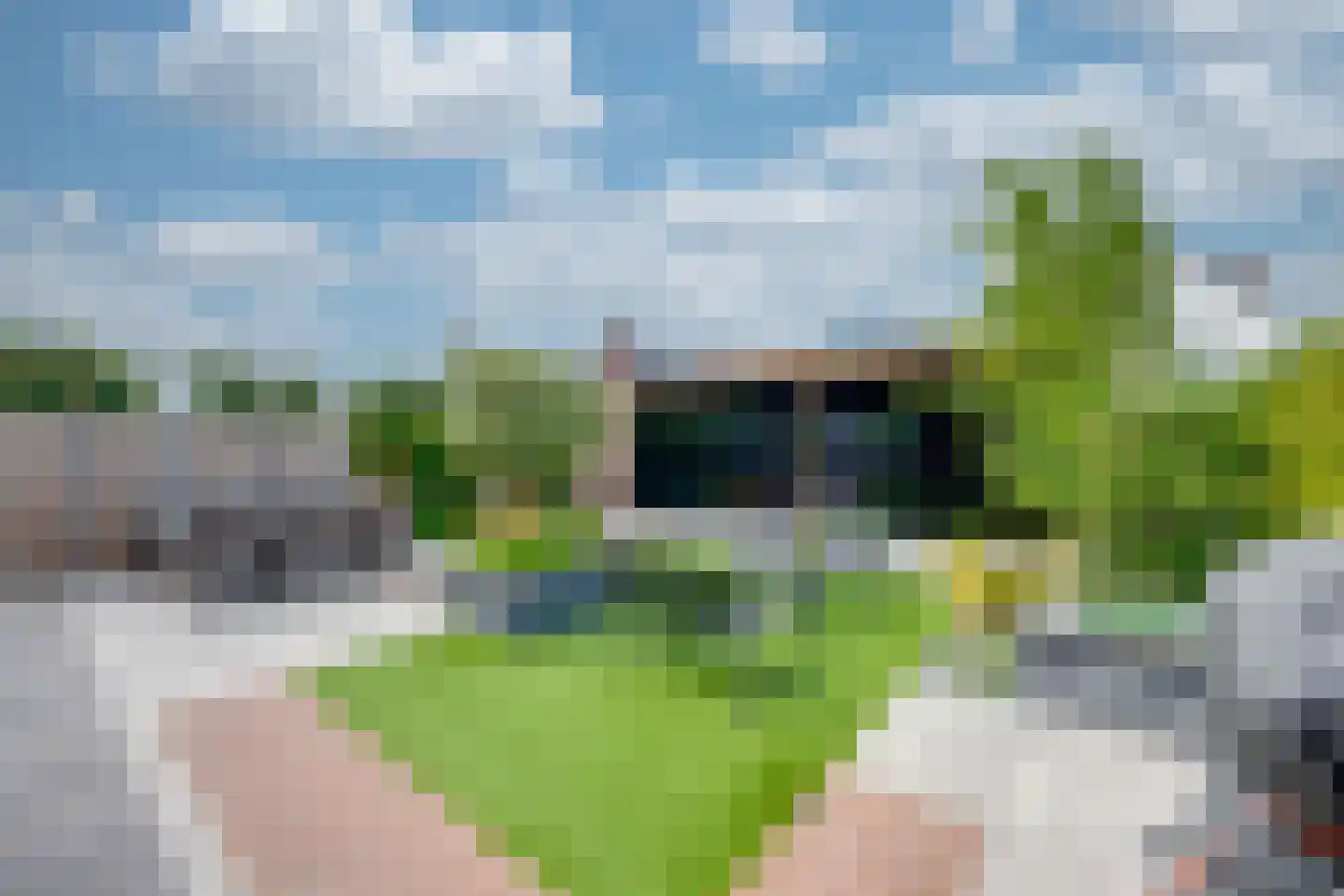 Amerlaan 26 Fijnaart foto 3