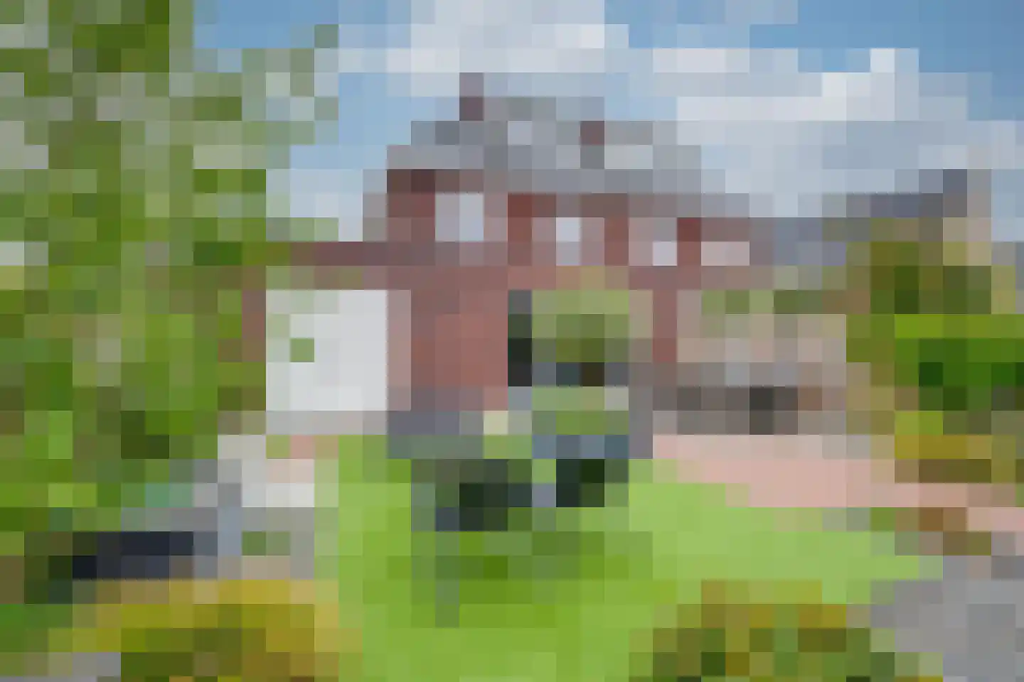 Amerlaan 26 Fijnaart thumbnail 41