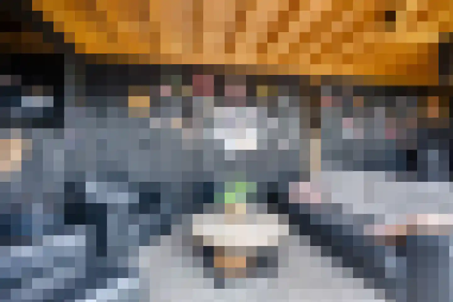 Amerlaan 26 Fijnaart thumbnail 43