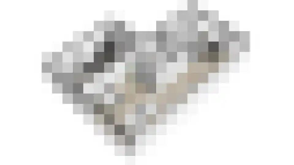 Amerlaan 26 Fijnaart thumbnail 46