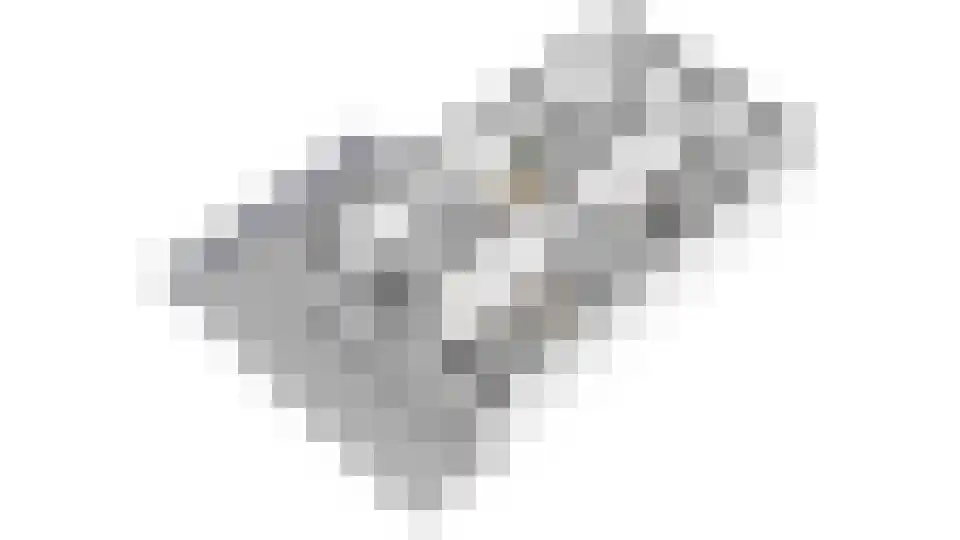 Amerlaan 26 Fijnaart thumbnail 49