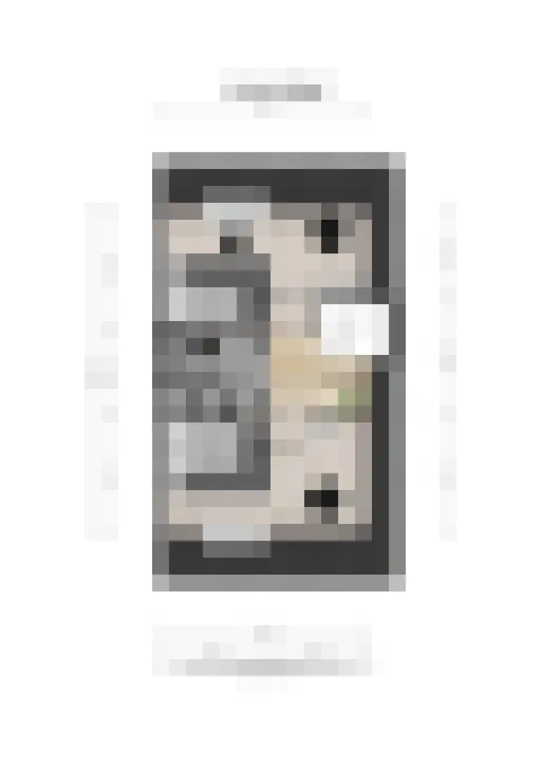 Amerlaan 26 Fijnaart thumbnail 51