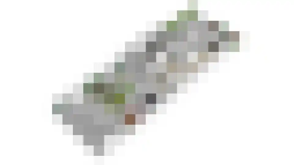 Amerlaan 26 Fijnaart thumbnail 61