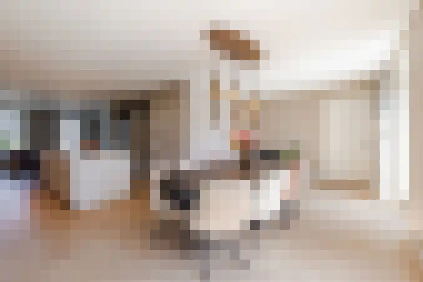Amerlaan 37 Fijnaart thumbnail 10