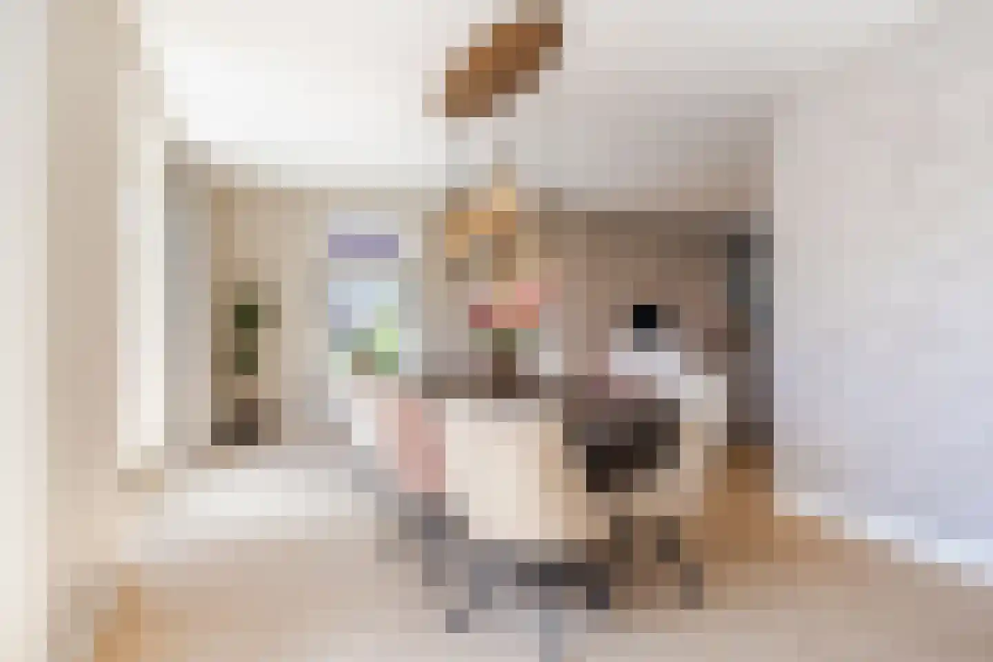 Amerlaan 37 Fijnaart thumbnail 13