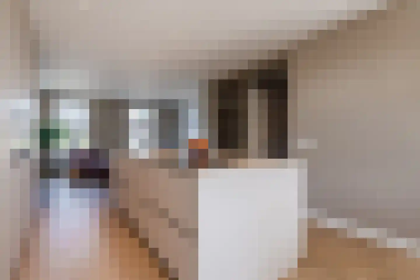 Amerlaan 37 Fijnaart thumbnail 16