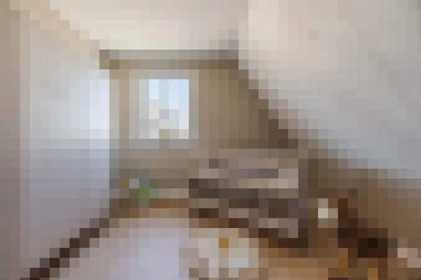 Amerlaan 37 Fijnaart thumbnail 33