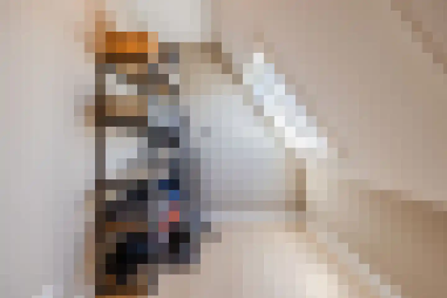Amerlaan 37 Fijnaart thumbnail 40