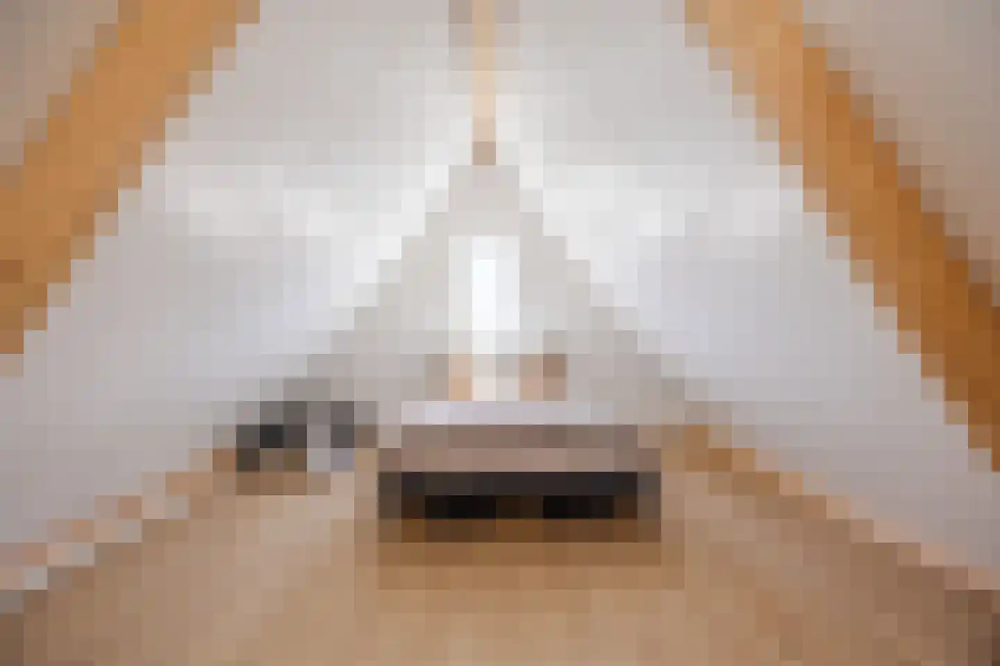 Amerlaan 37 Fijnaart thumbnail 48