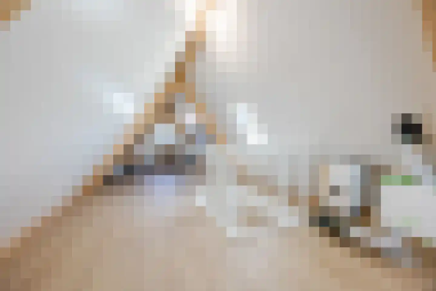 Amerlaan 37 Fijnaart thumbnail 50