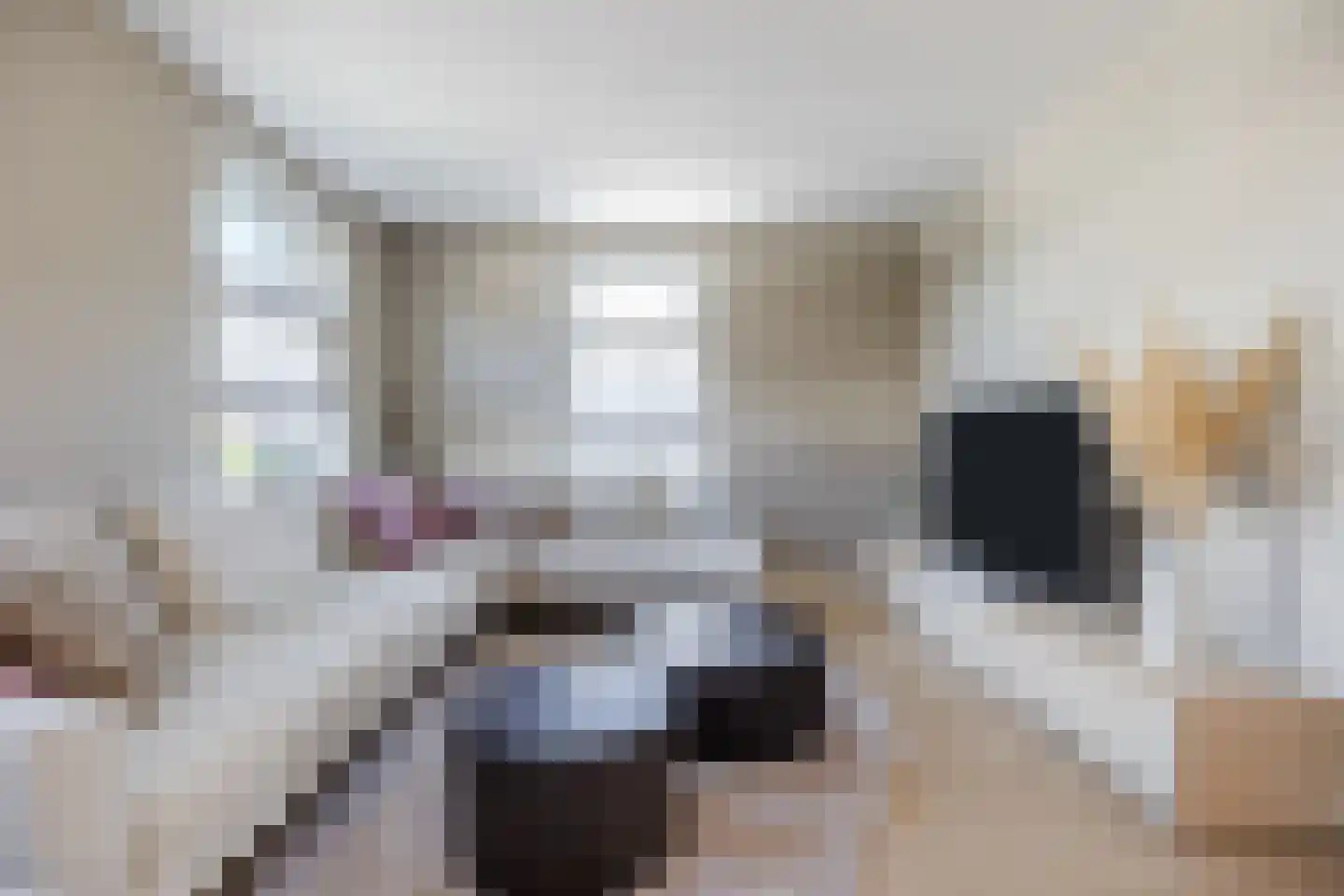 Amerlaan 37 Fijnaart thumbnail 7