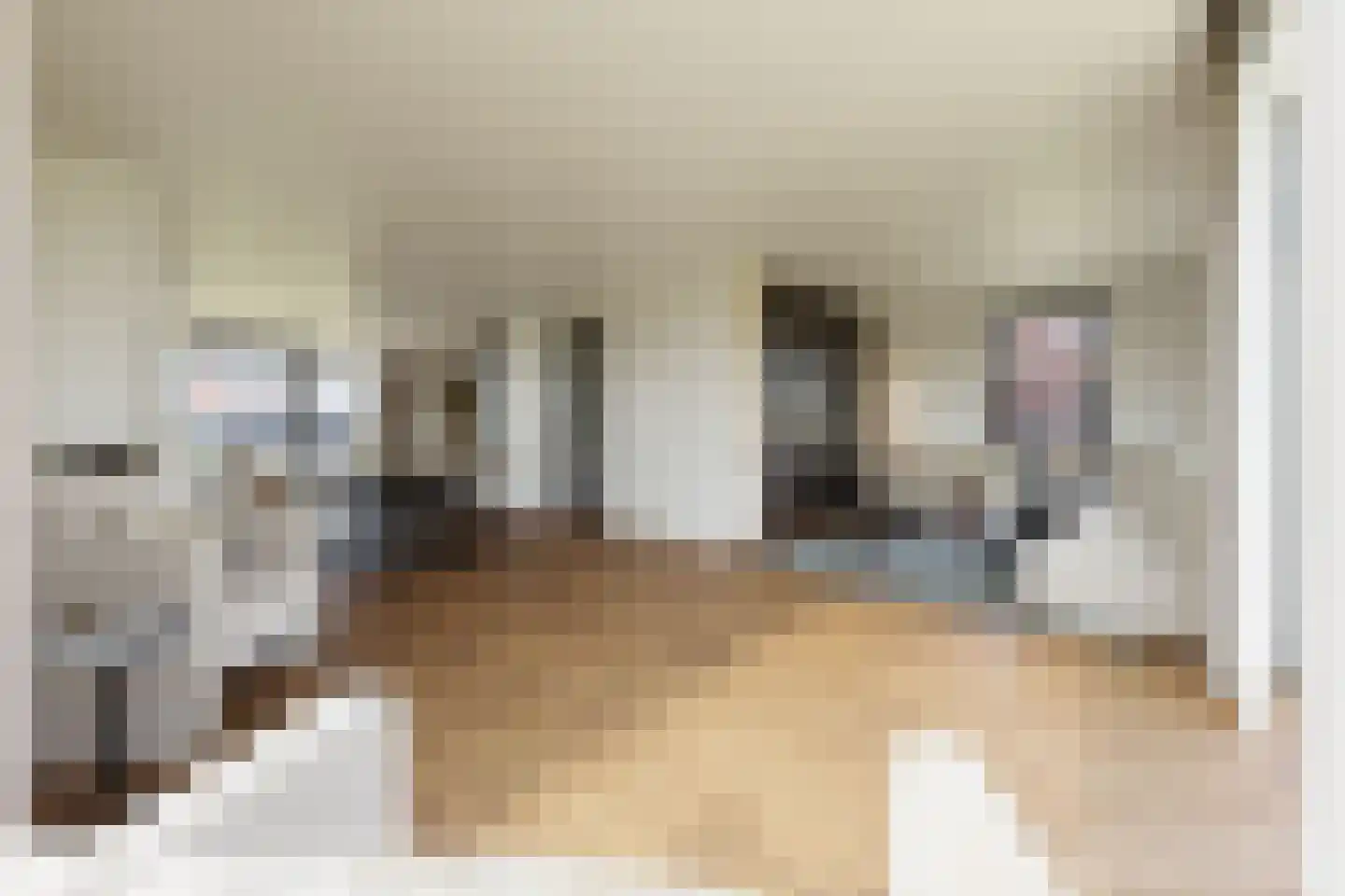 Amerlaan 38 Fijnaart thumbnail 18