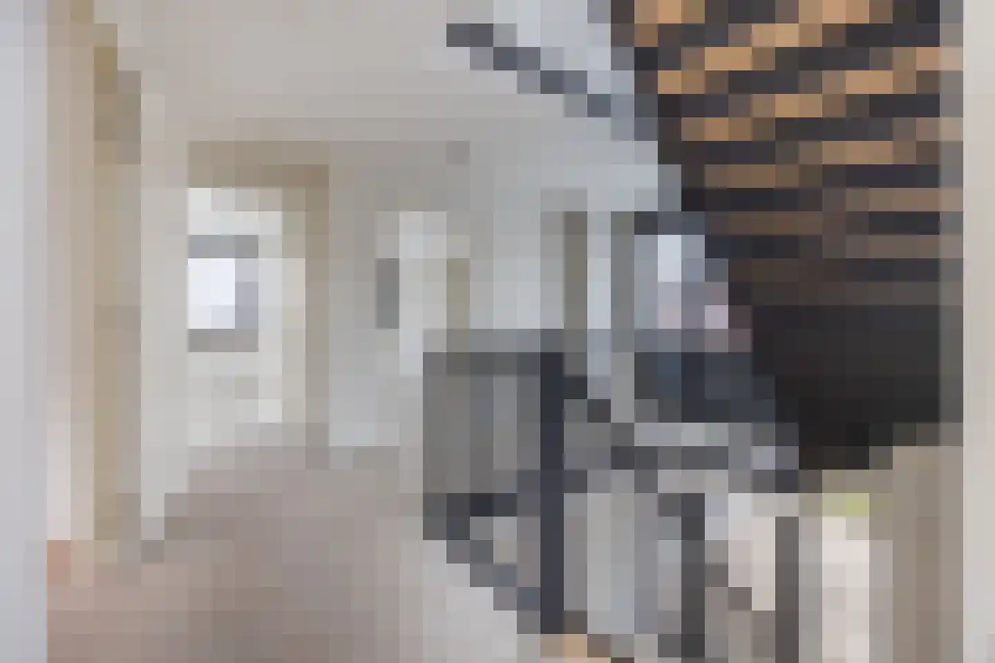 Amerlaan 38 Fijnaart thumbnail 36