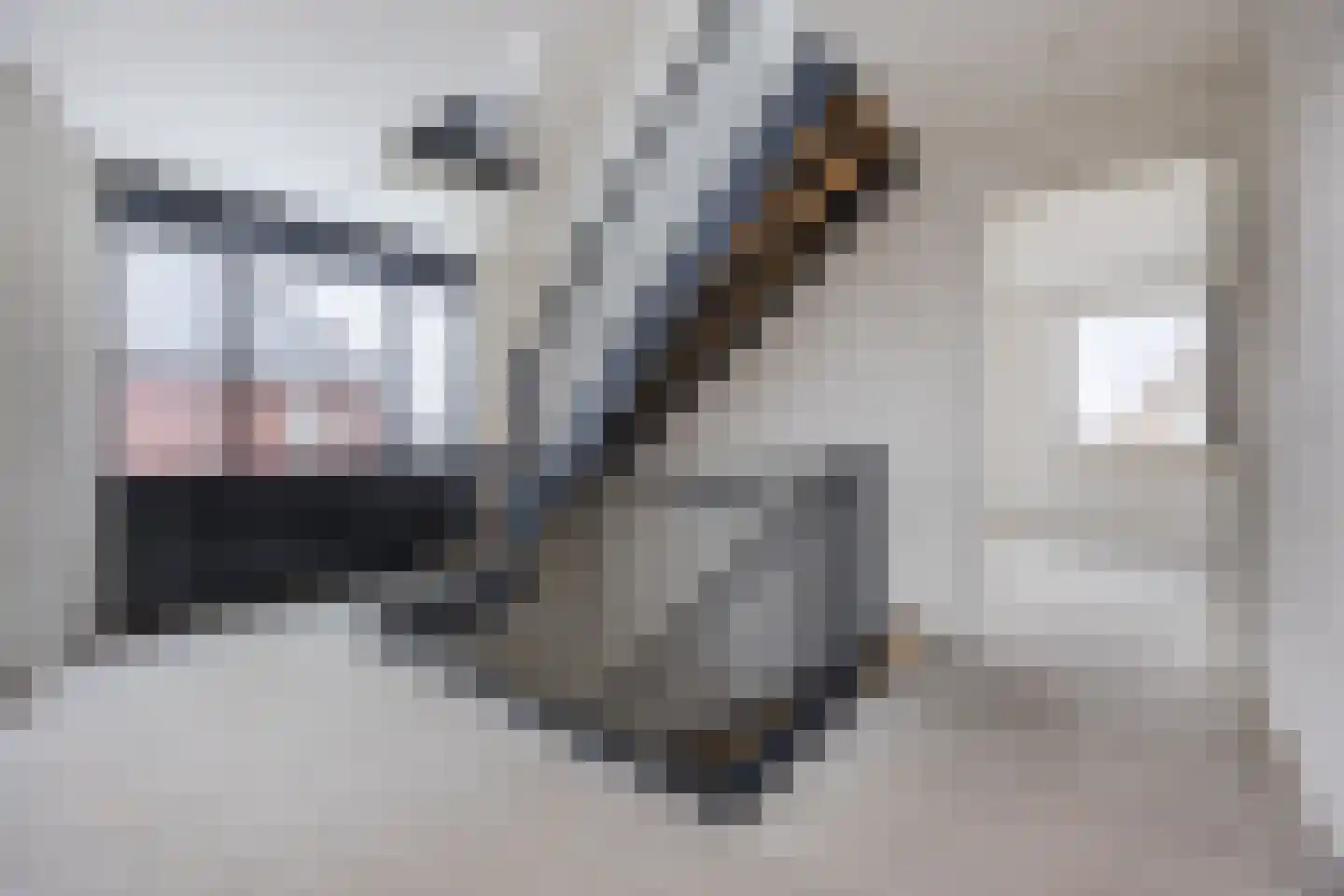 Amerlaan 38 Fijnaart thumbnail 37