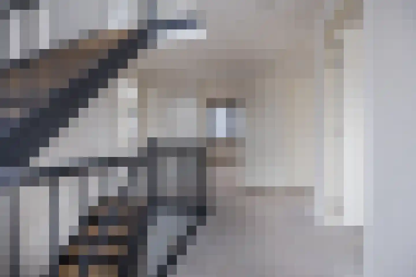 Amerlaan 38 Fijnaart thumbnail 39