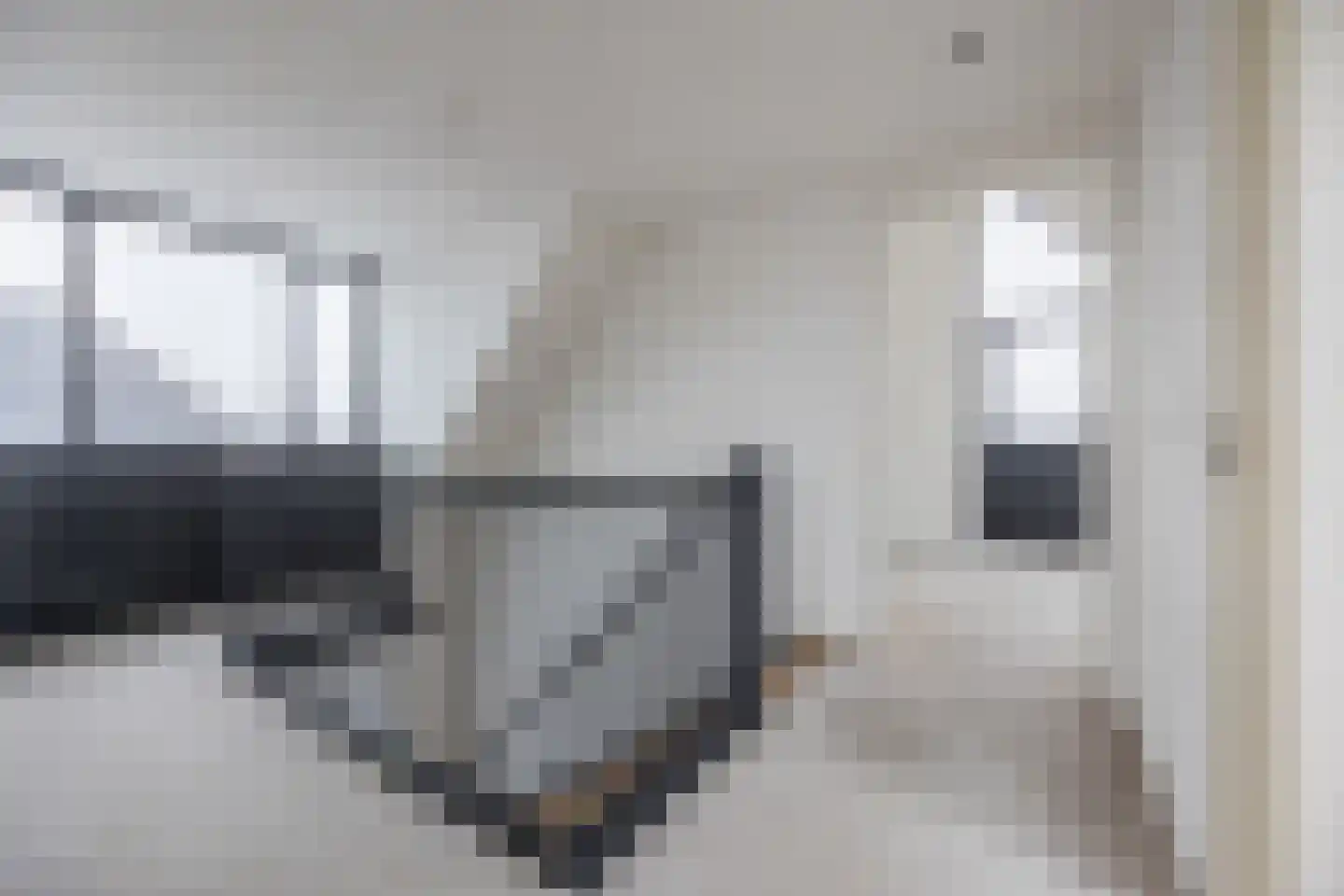Amerlaan 38 Fijnaart thumbnail 53