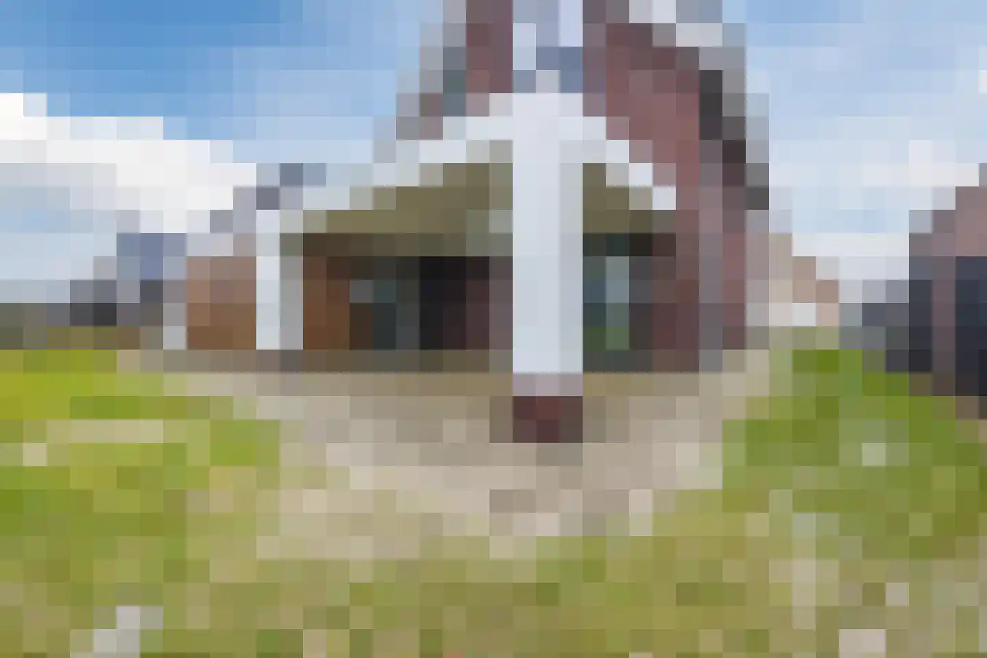 Amerlaan 38 Fijnaart thumbnail 77