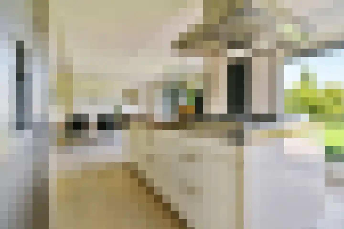 Ameroever 29 Lage Zwaluwe thumbnail 12