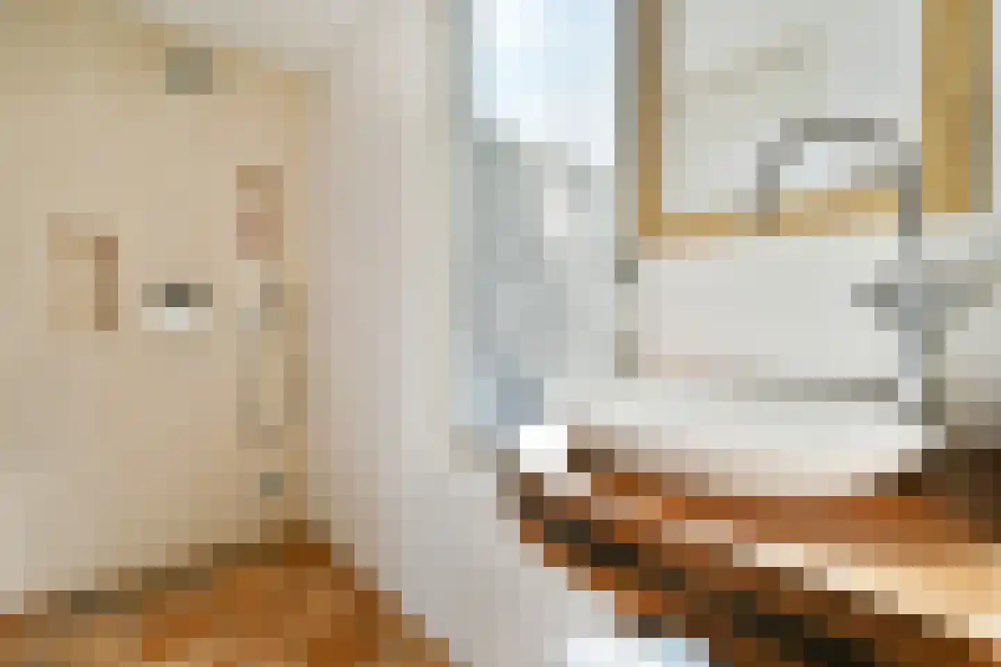 Ameroever 29 Lage Zwaluwe thumbnail 15