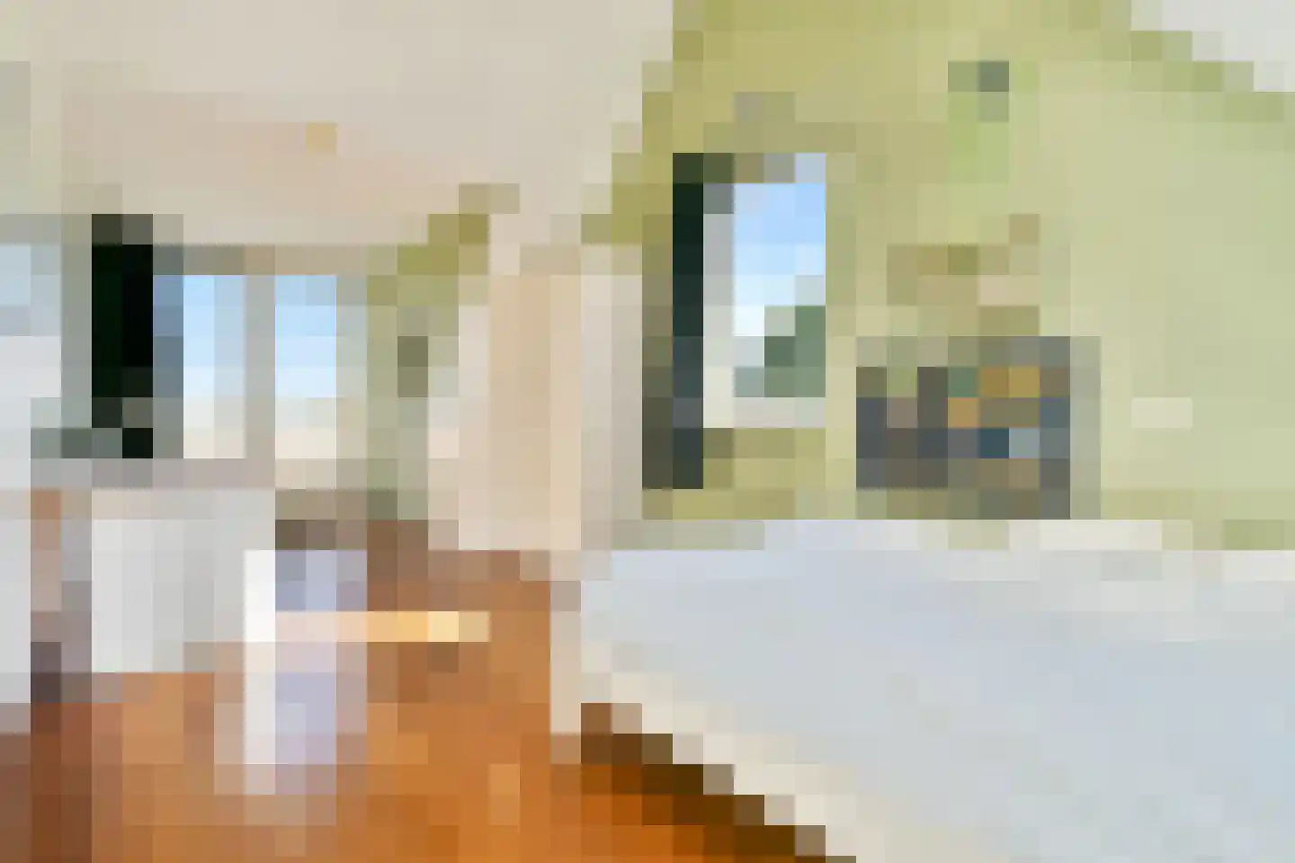 Ameroever 29 Lage Zwaluwe thumbnail 18
