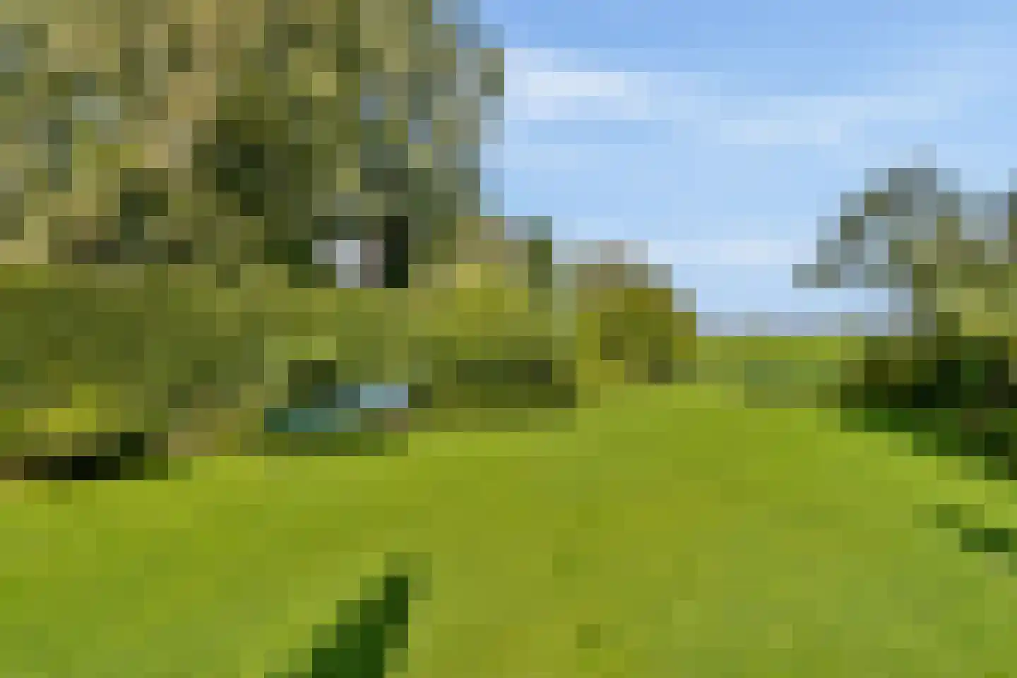 Ameroever 29 Lage Zwaluwe thumbnail 27