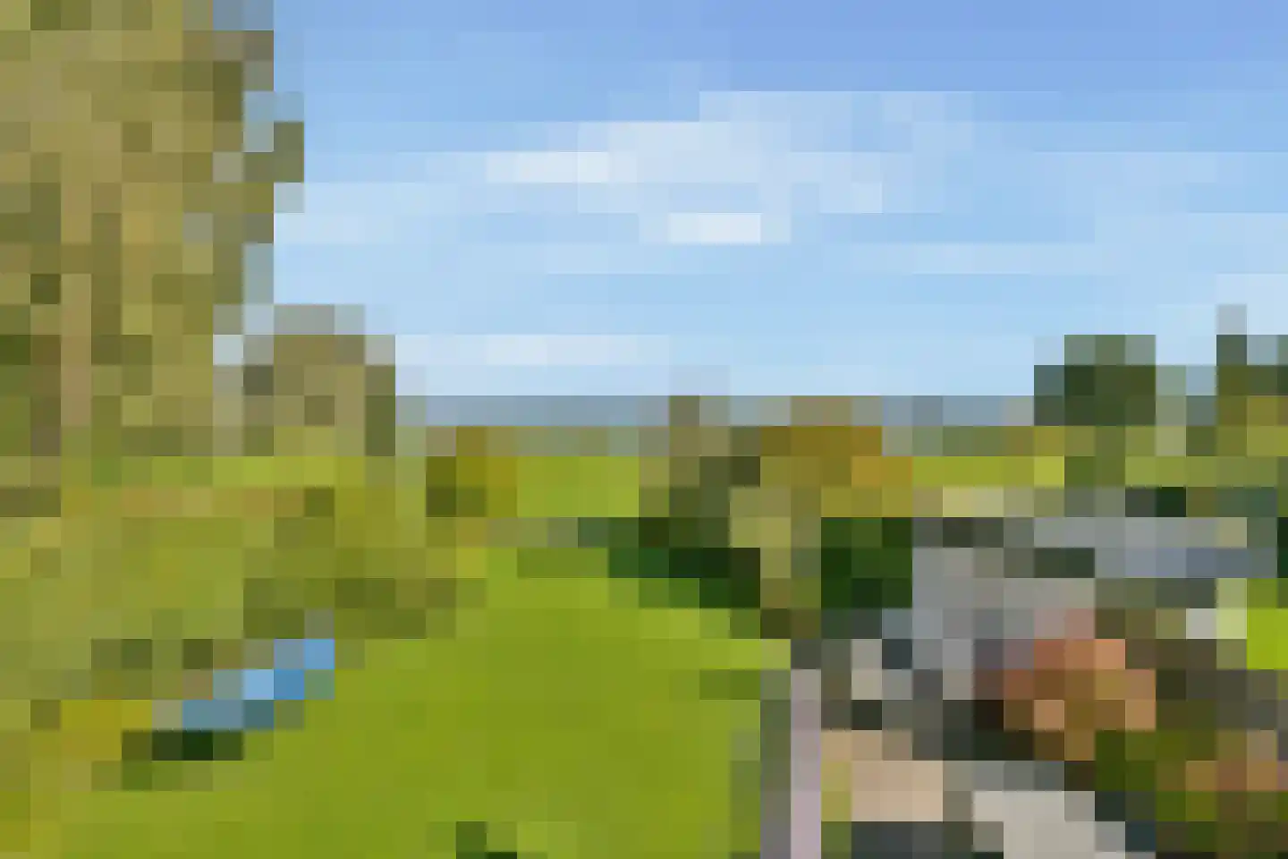 Ameroever 29 Lage Zwaluwe thumbnail 28