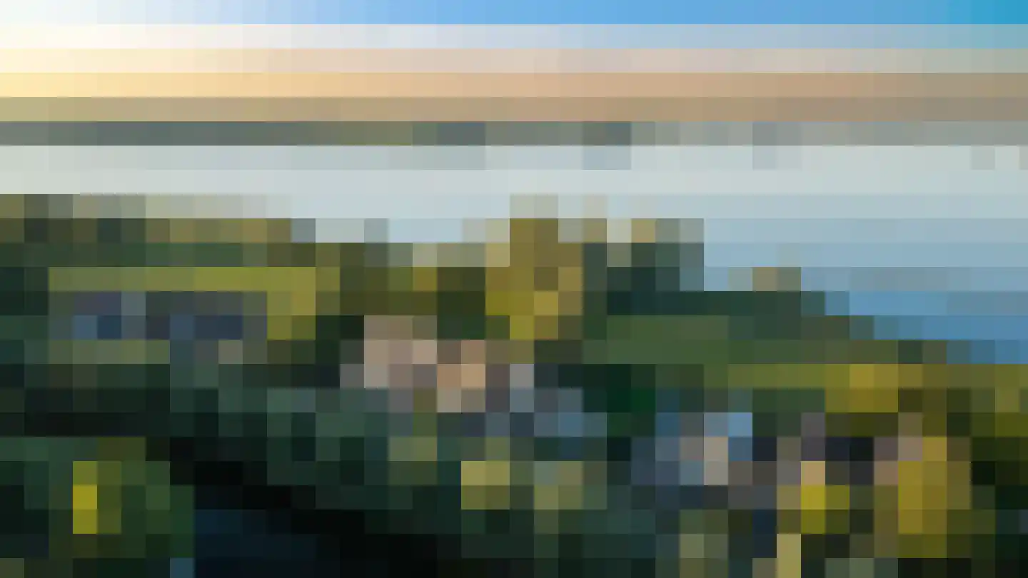 Ameroever 29 Lage Zwaluwe foto 3