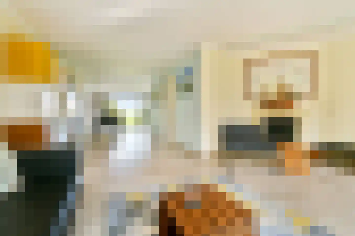 Ameroever 29 Lage Zwaluwe thumbnail 4