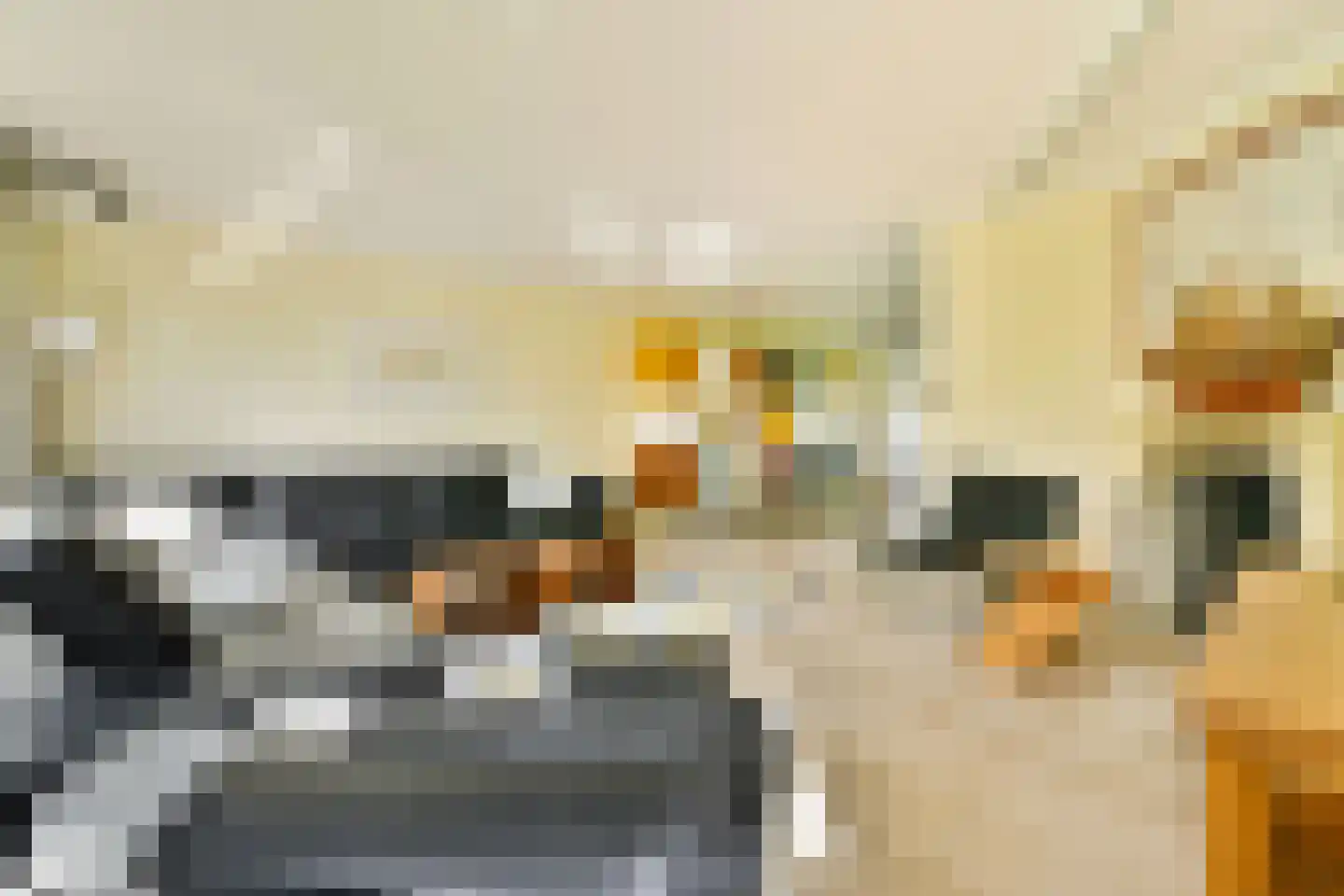 Ameroever 29 Lage Zwaluwe thumbnail 7