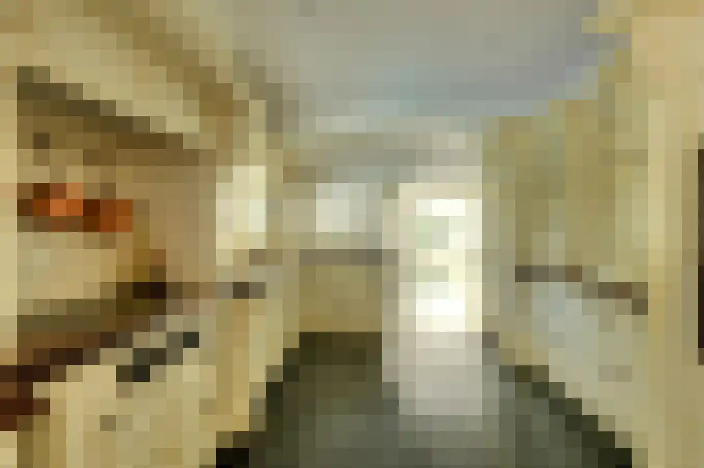 Ameroever 42 Lage Zwaluwe thumbnail 10