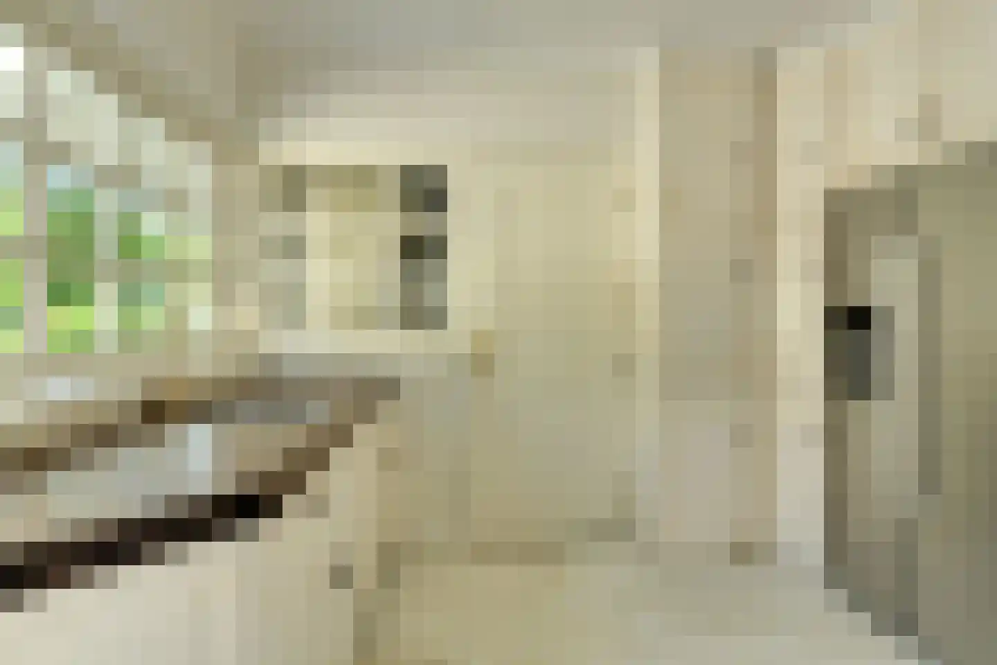 Ameroever 42 Lage Zwaluwe thumbnail 11