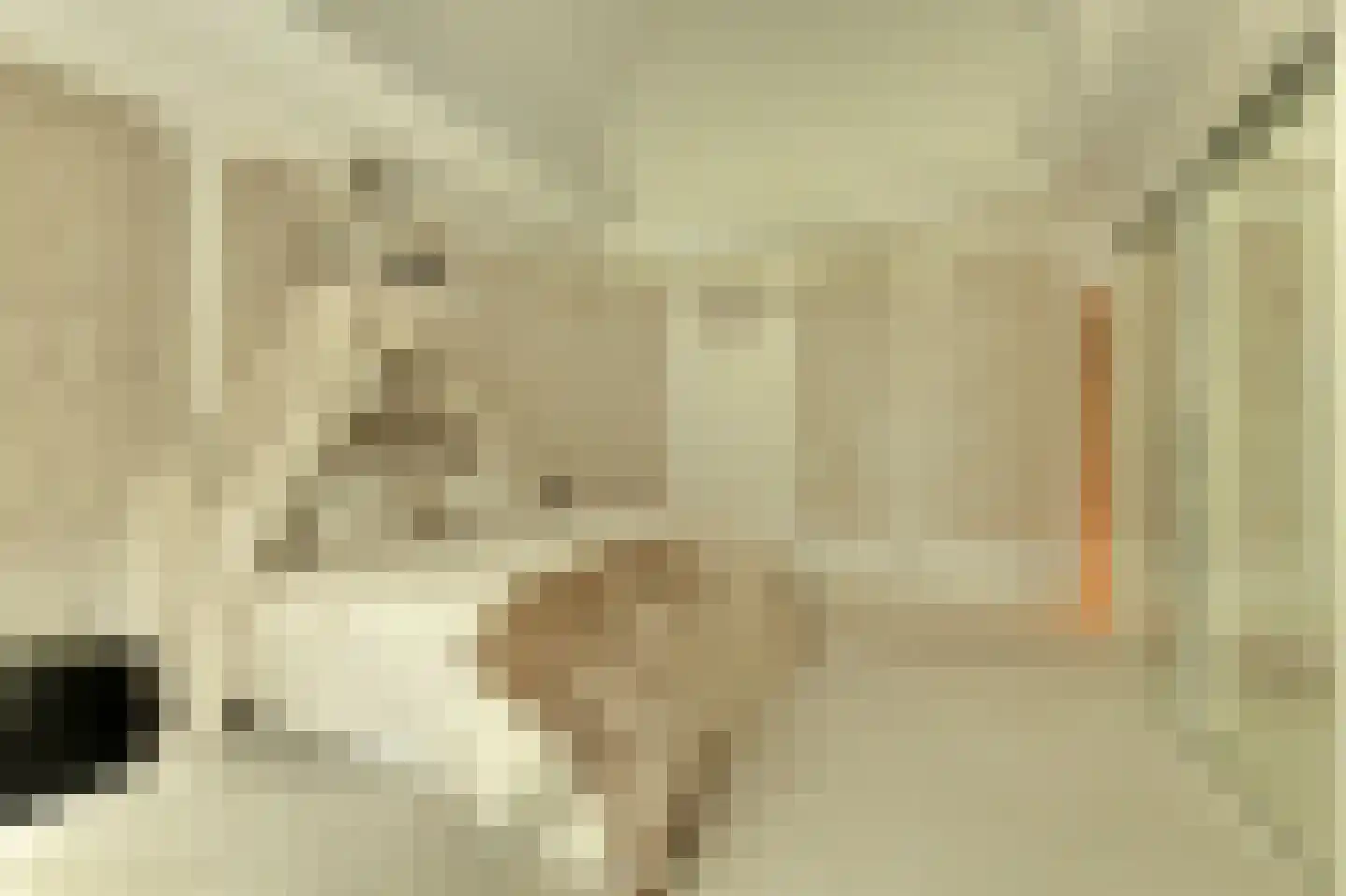 Ameroever 42 Lage Zwaluwe thumbnail 12