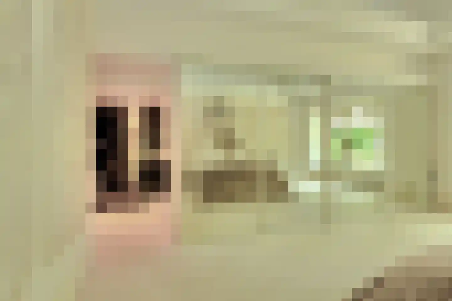 Ameroever 42 Lage Zwaluwe thumbnail 13