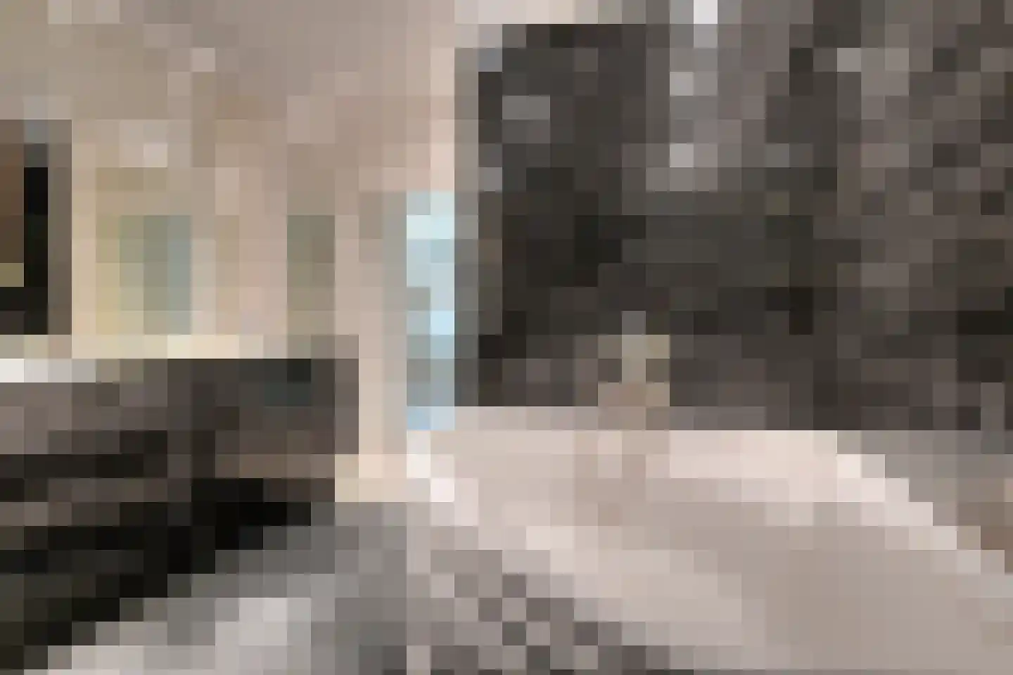 Ameroever 42 Lage Zwaluwe thumbnail 14