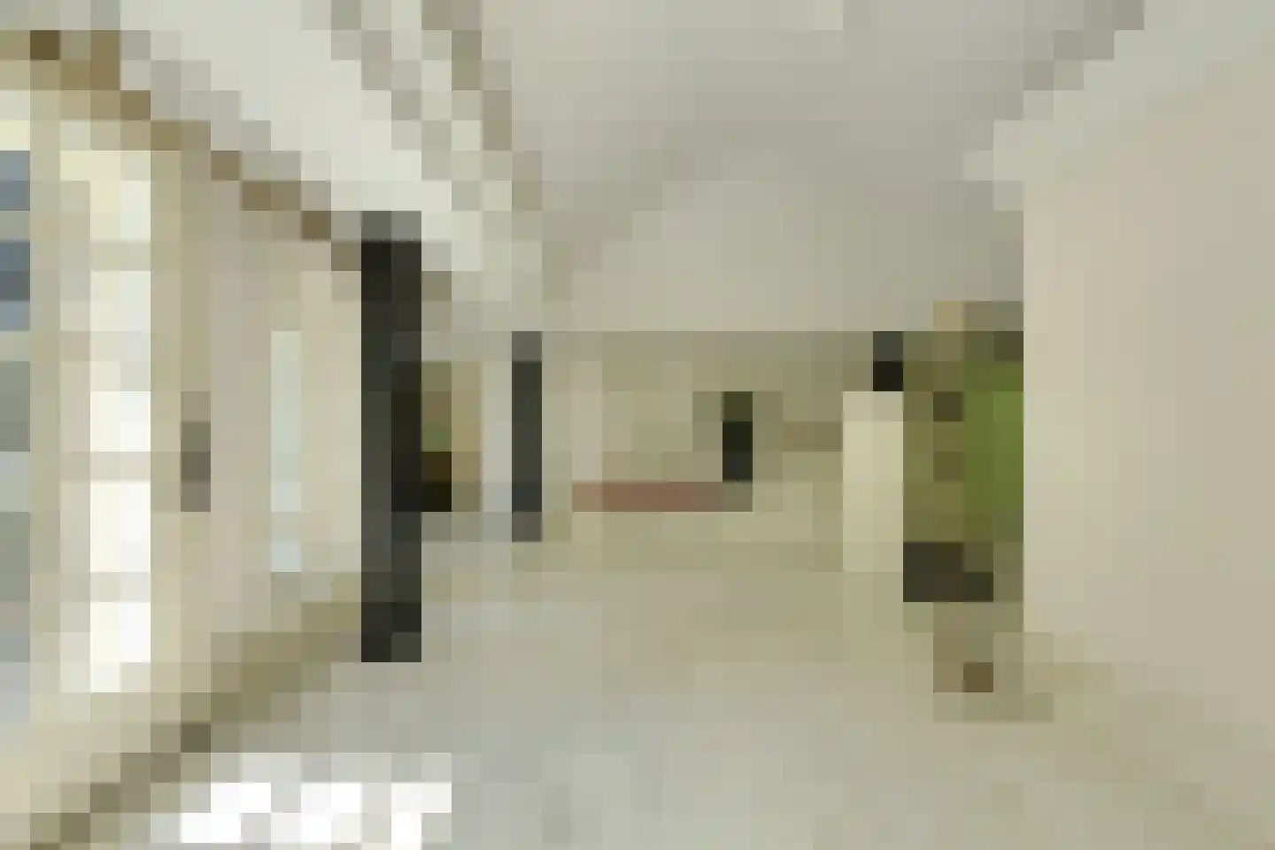 Ameroever 42 Lage Zwaluwe thumbnail 15