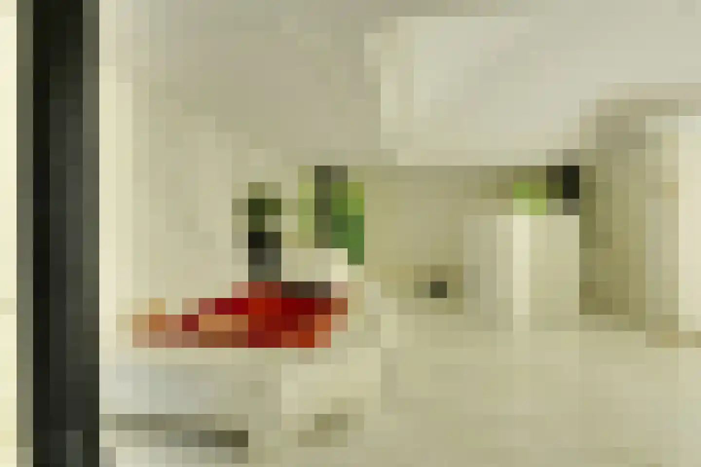 Ameroever 42 Lage Zwaluwe thumbnail 16