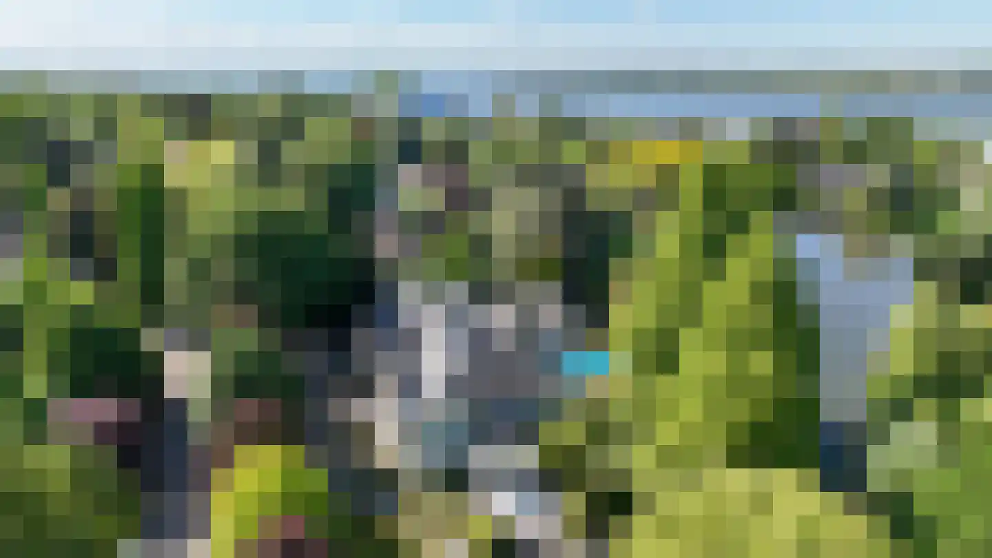 Ameroever 42 Lage Zwaluwe foto 2