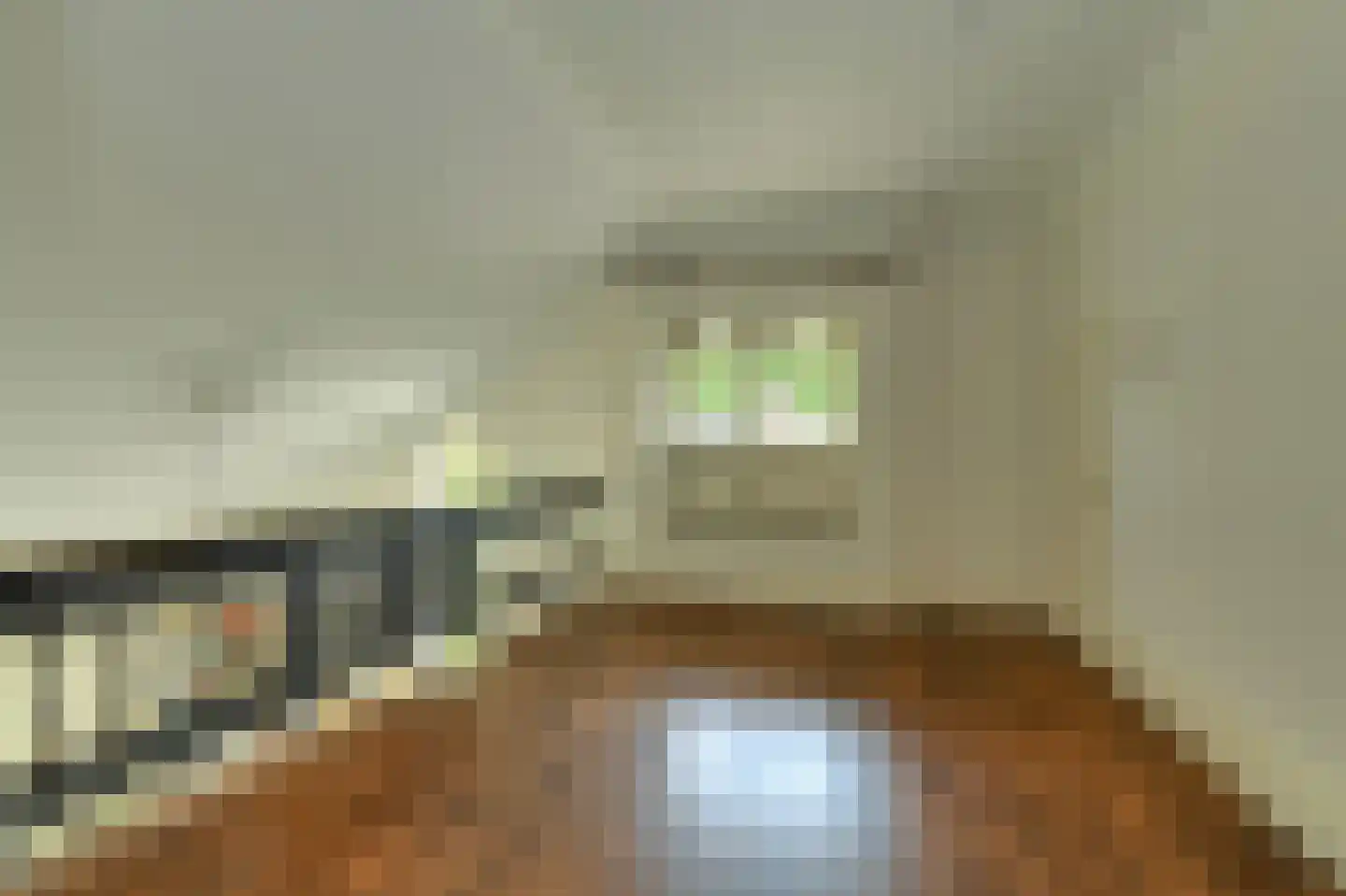 Ameroever 42 Lage Zwaluwe thumbnail 20
