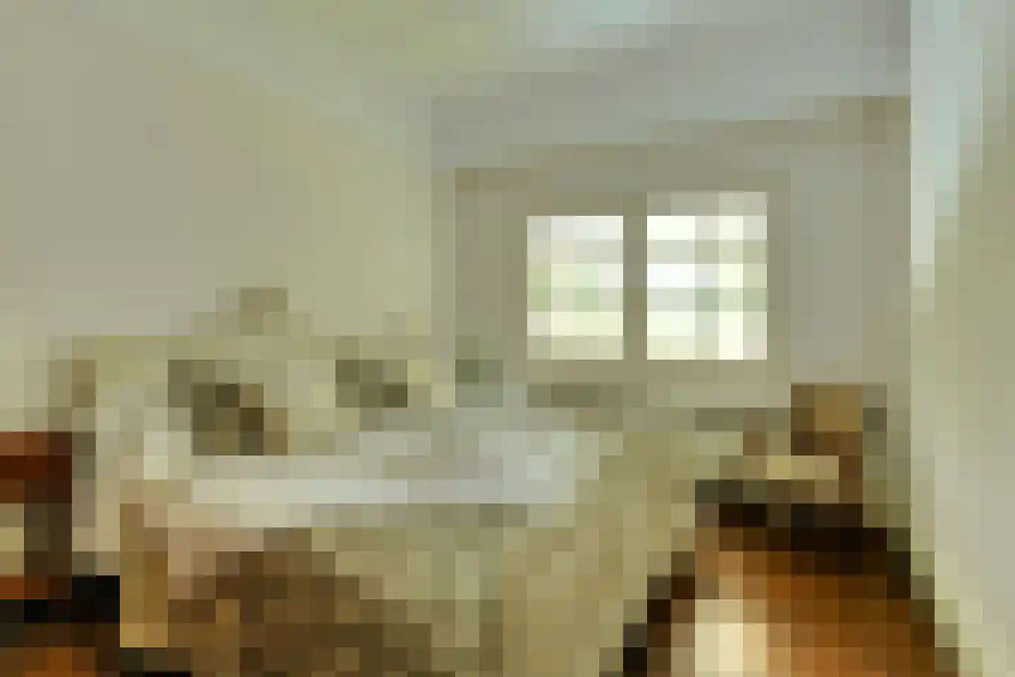 Ameroever 42 Lage Zwaluwe thumbnail 21
