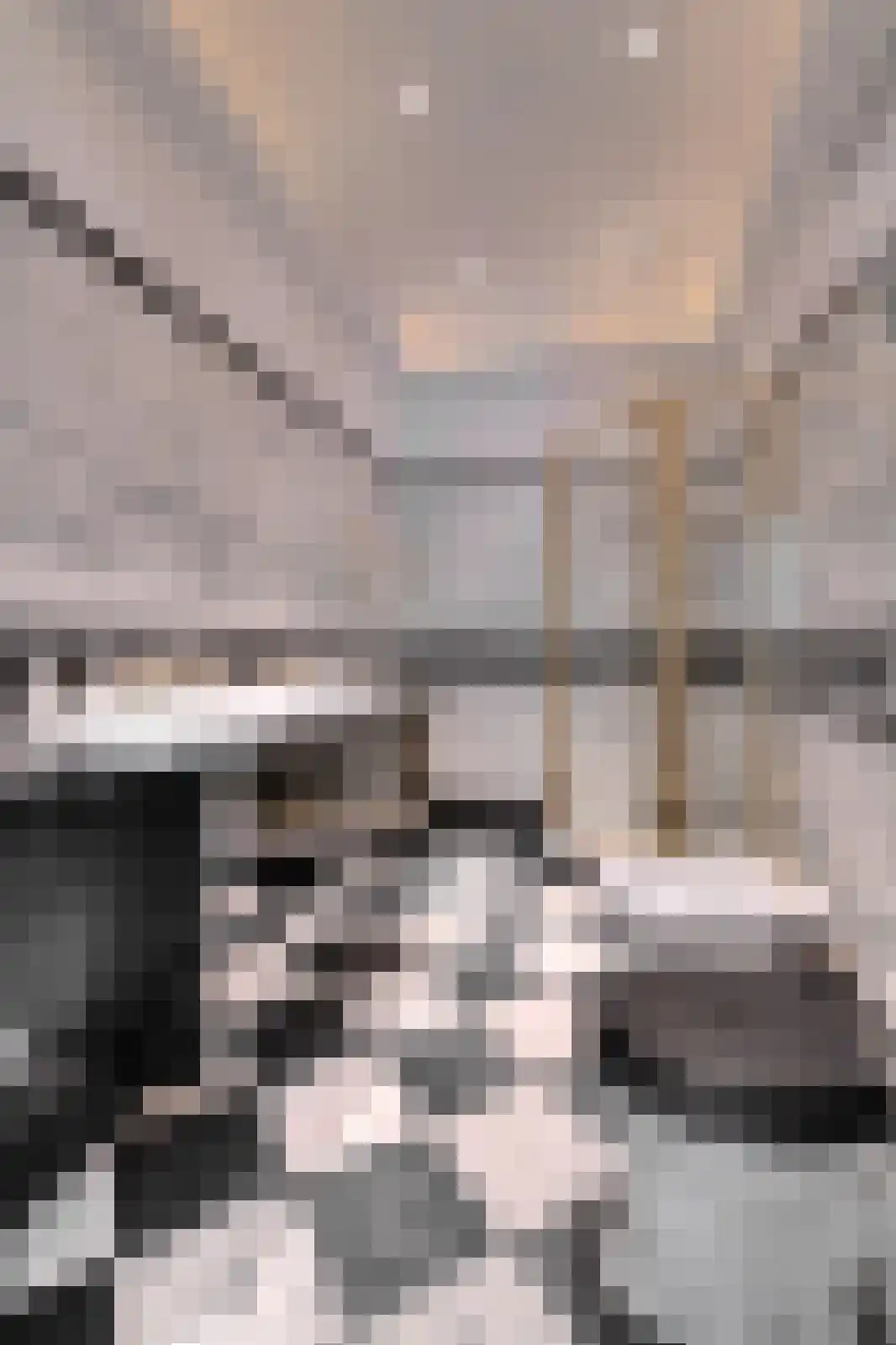 Ameroever 42 Lage Zwaluwe thumbnail 25