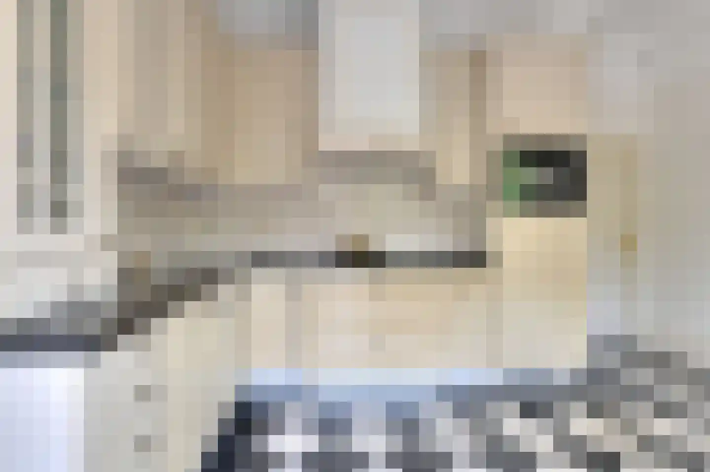 Ameroever 42 Lage Zwaluwe thumbnail 26