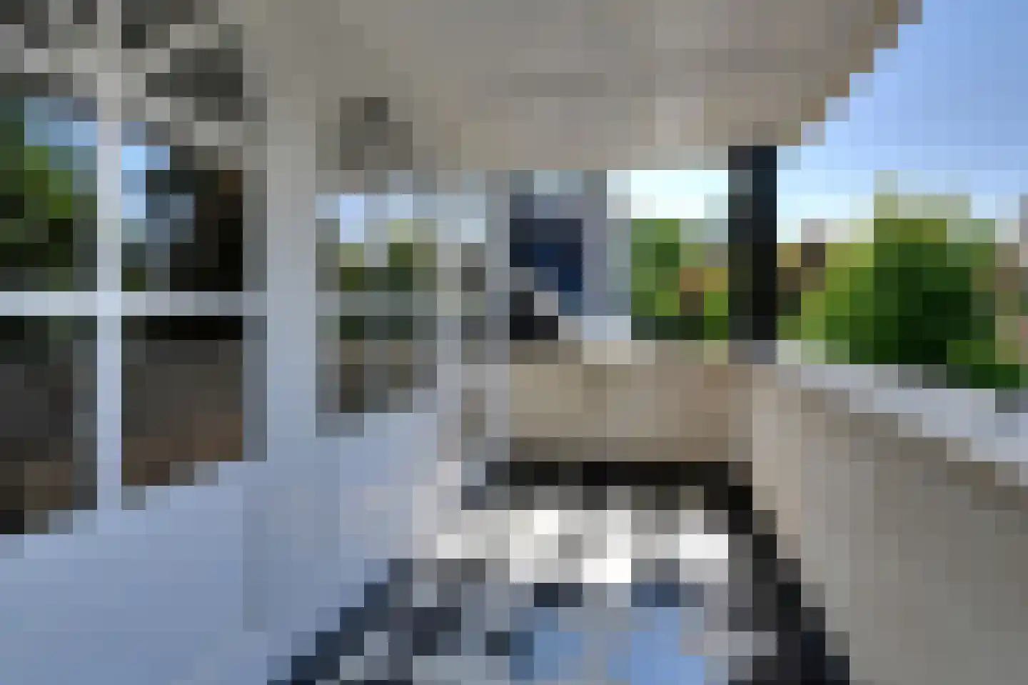 Ameroever 42 Lage Zwaluwe thumbnail 28