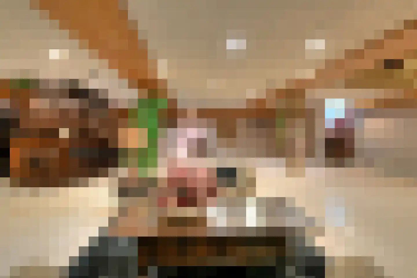 Ameroever 42 Lage Zwaluwe thumbnail 29