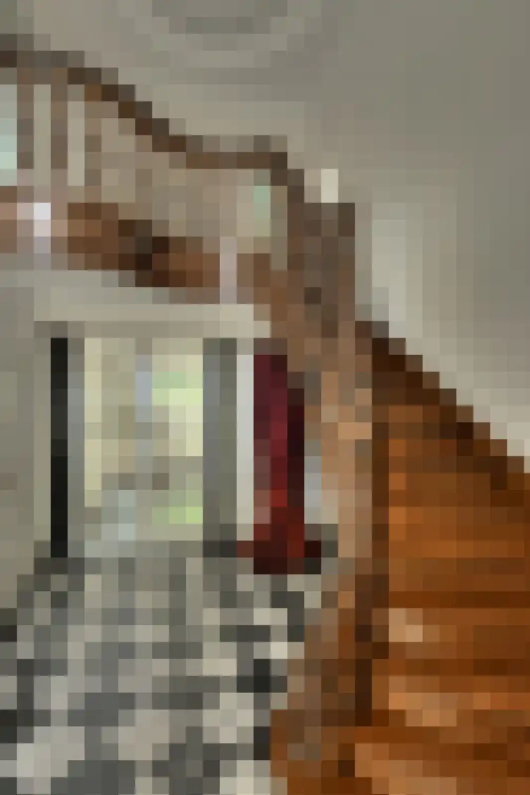Ameroever 42 Lage Zwaluwe thumbnail 4