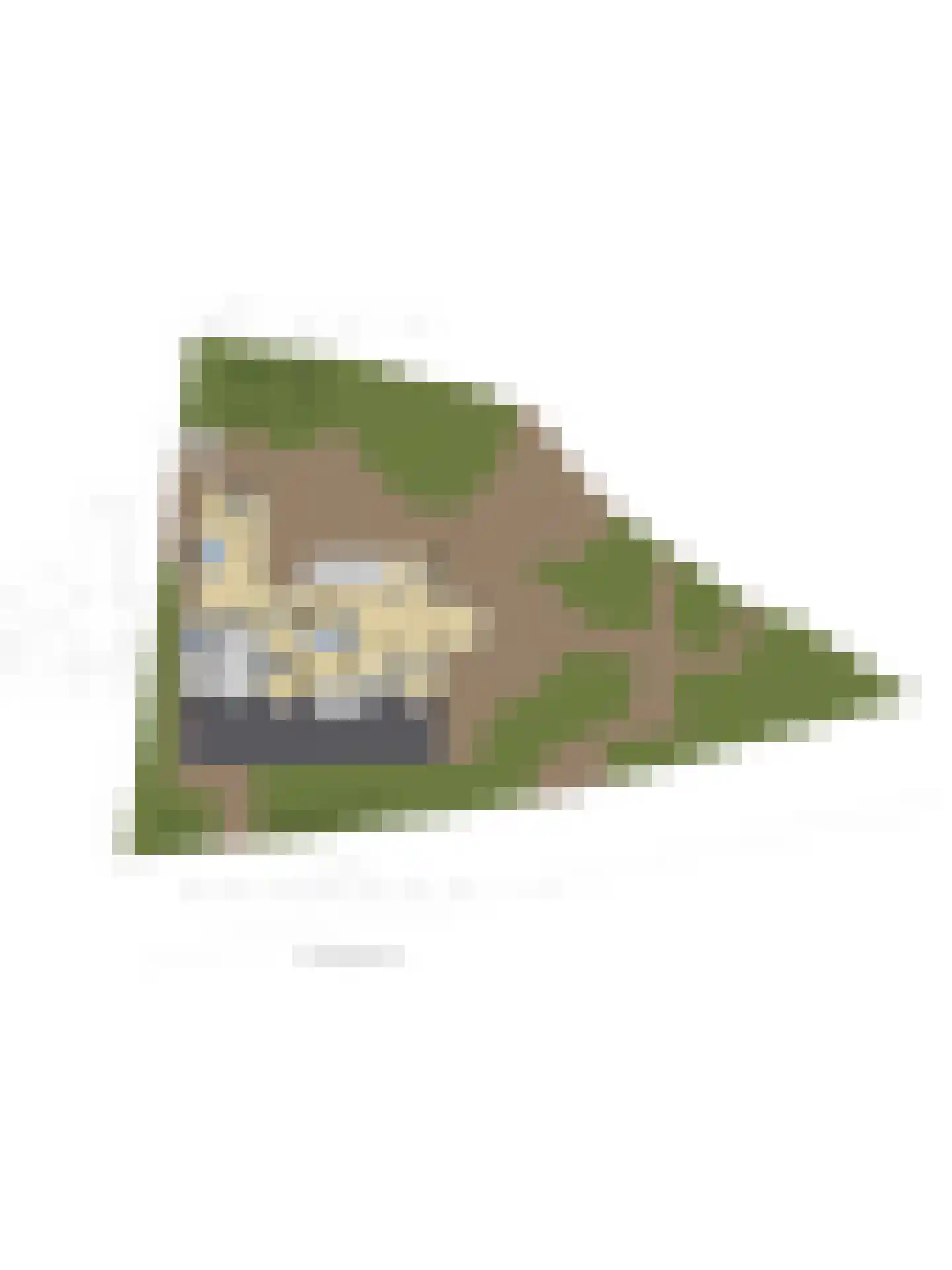 Ameroever 42 Lage Zwaluwe thumbnail 46