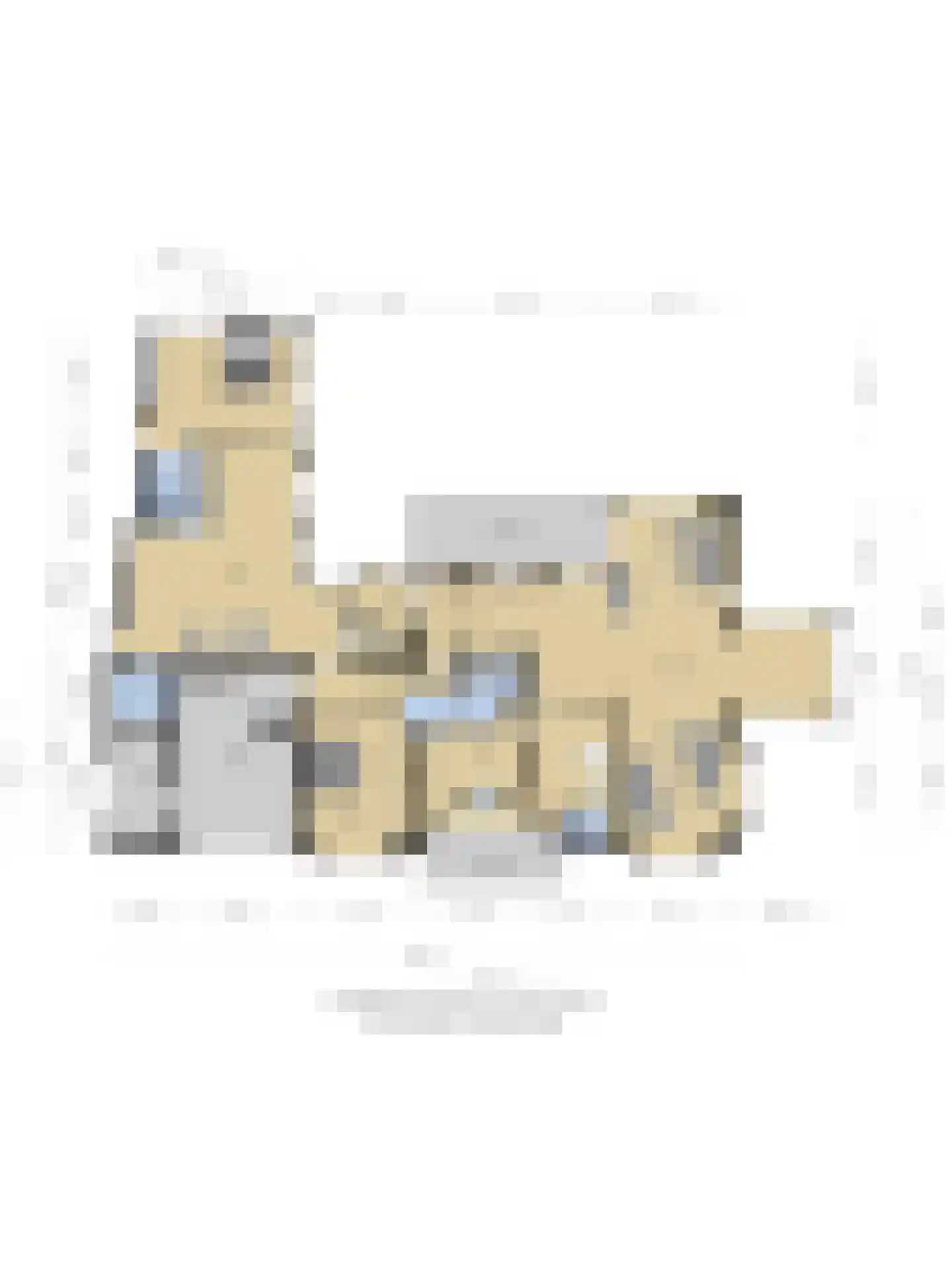 Ameroever 42 Lage Zwaluwe thumbnail 48