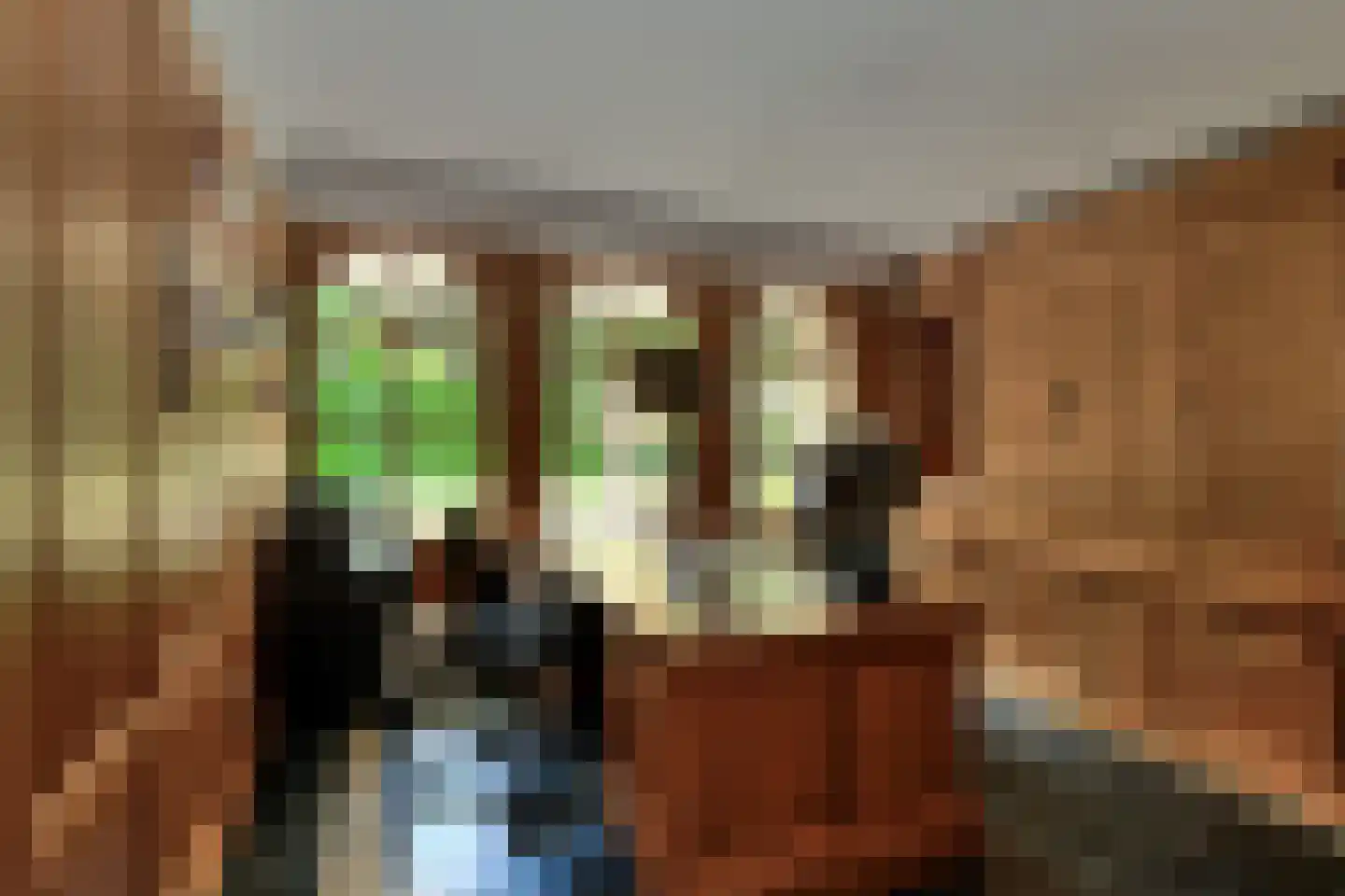 Ameroever 42 Lage Zwaluwe thumbnail 5
