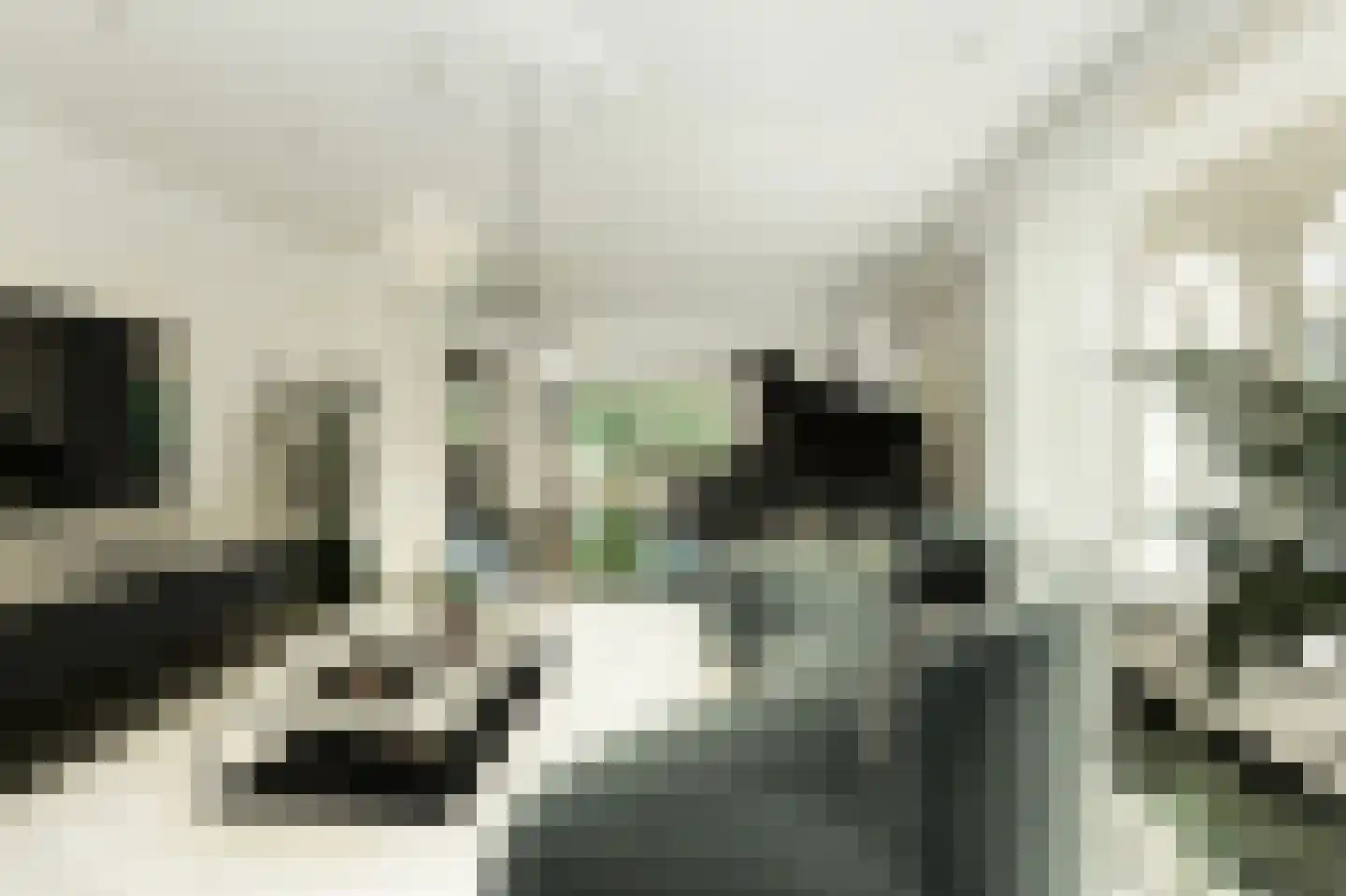 Ameroever 42 Lage Zwaluwe thumbnail 6