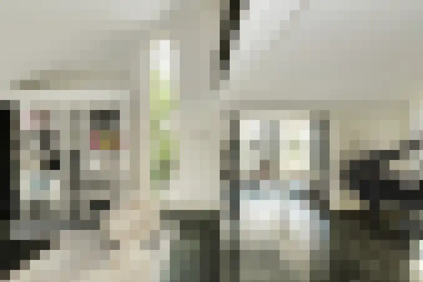 Ameroever 42 Lage Zwaluwe thumbnail 8