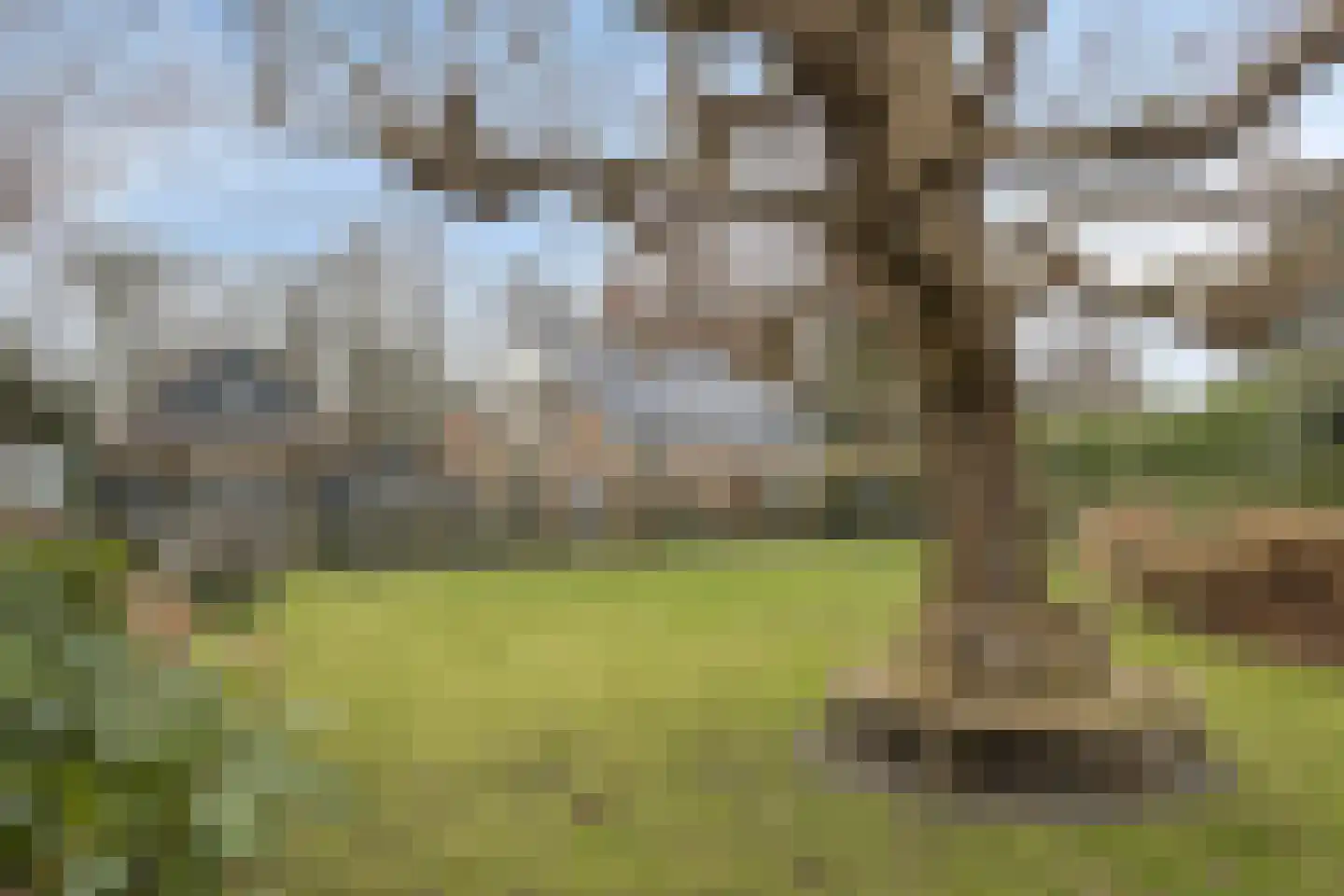 Ameroever 64 Lage Zwaluwe
